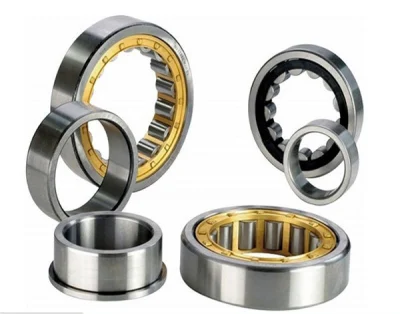 China Factory Nj Type Cylindrical Roller Bearing Double Outer Walls Single Row